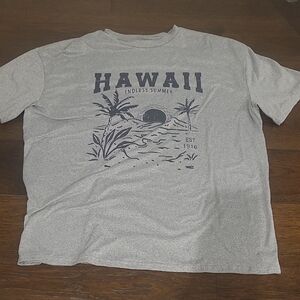 Gray Hawaii Graphic T-Shirt